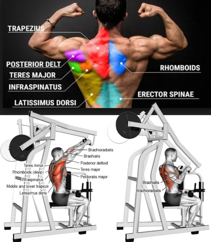 TOP 3 BACK EXERCISES