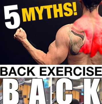 🔥5 Back Training Myths