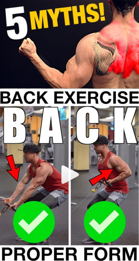 5 Back Training Myths