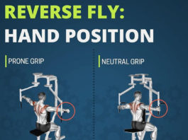 💪HAND POSITION DURING REVERSE FLYS MACHINE