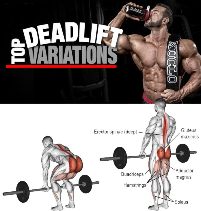 RDL VS STIFF LEG DEADLIFT