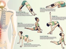 🚻Yoga For Back Pain Relief : 5 Best Asanas and Postures | Animated