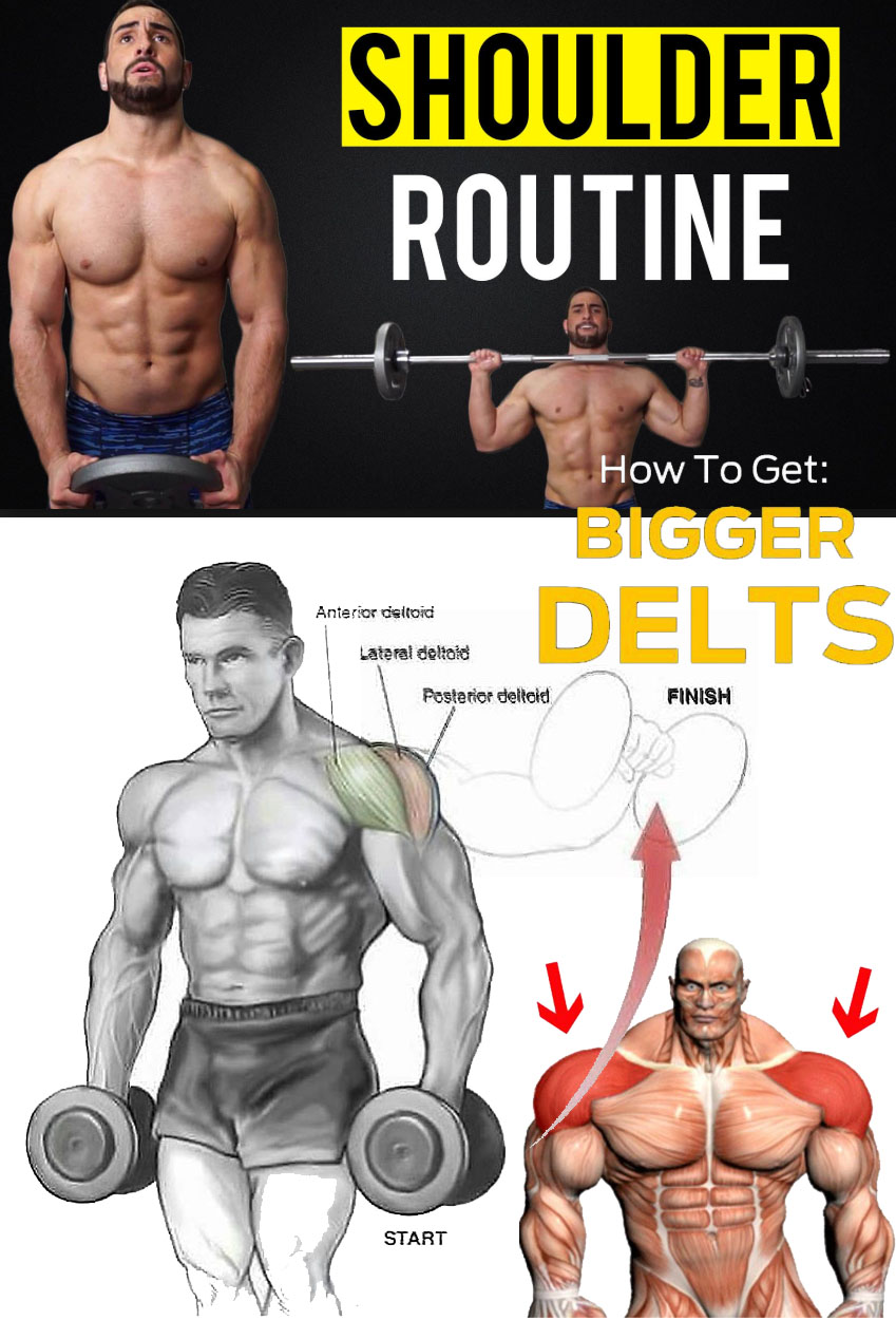 Seated dumbbell lateral raise
