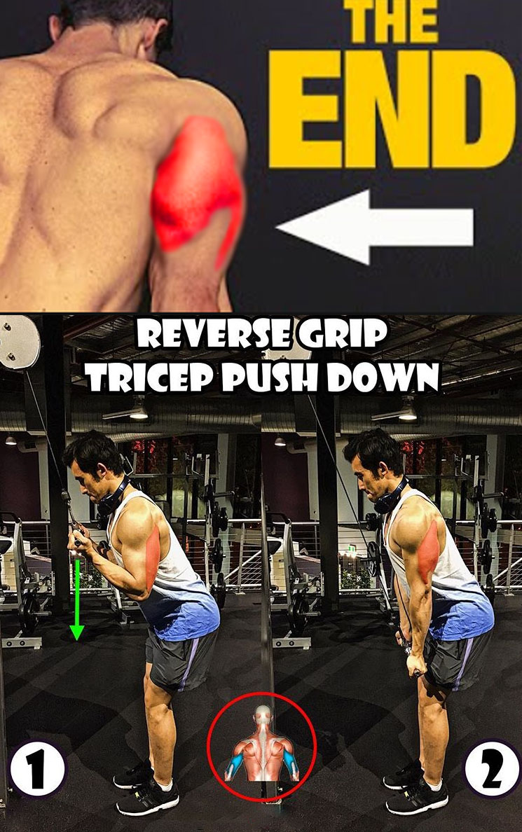 Reverse Grip Tricep Pushdown