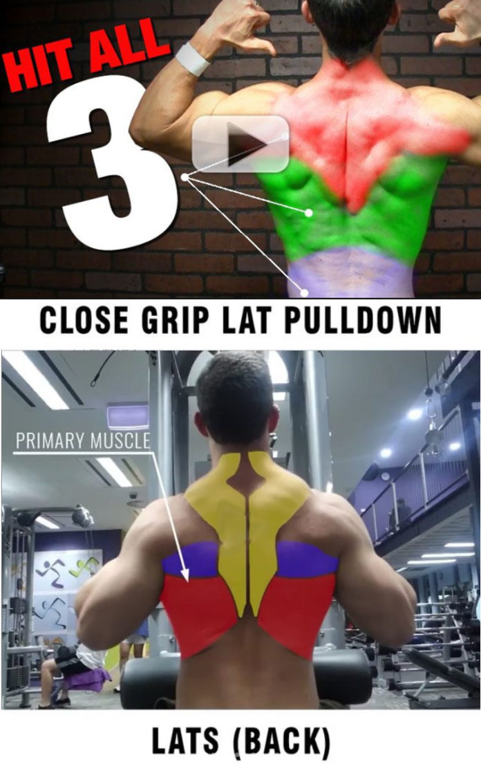 HIT ALL 3 BACK EXERCISES