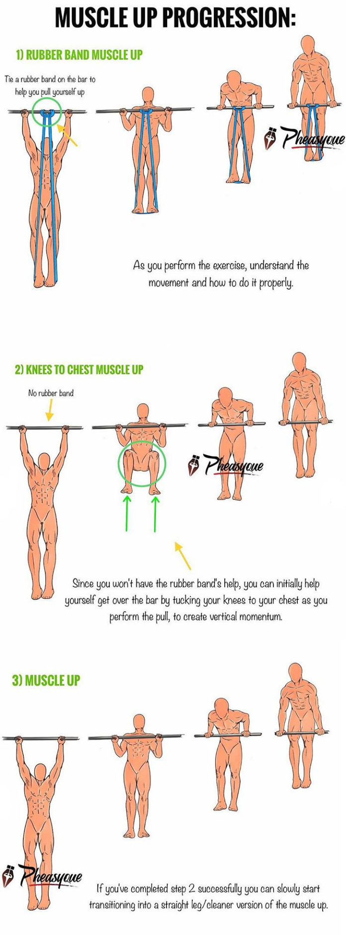 Muscle Up Progression For Beginners 