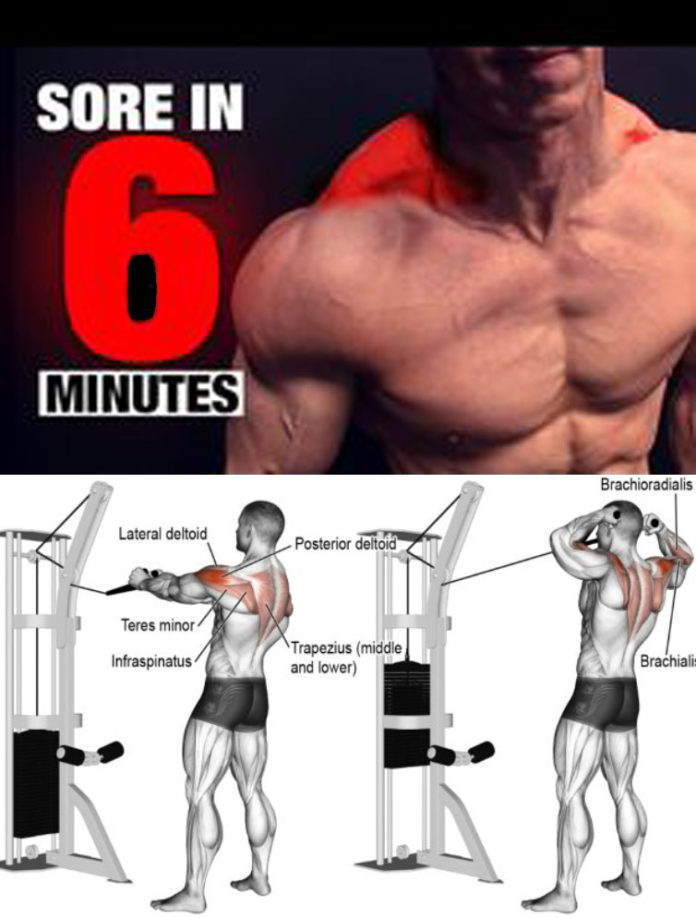 3 HIT TOP TRAP EXERCISES