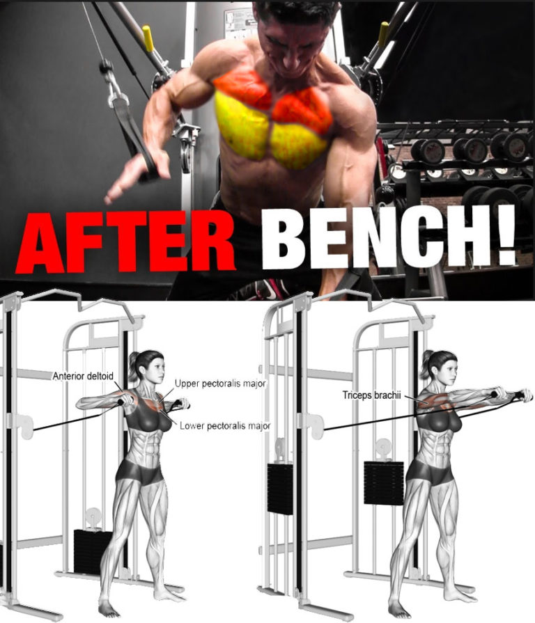 How To Barbell Bench Press 