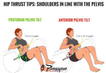 🍑HIP THRUST TIPS: SHOULDERS IN LINE WITH THE PELVIS