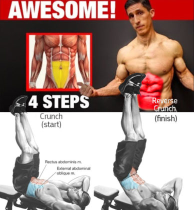 6 PACK ABS & UPPER | LOWER | OBLIQUES