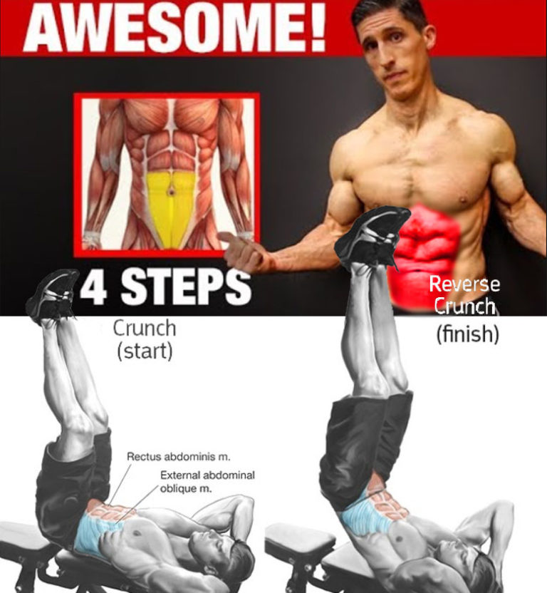 6 PACK ABS & UPPER | LOWER | OBLIQUES