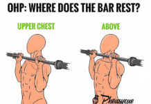 Muscle Anatomy Workout Image - weighteasyloss.com - Fitness Lifestyle