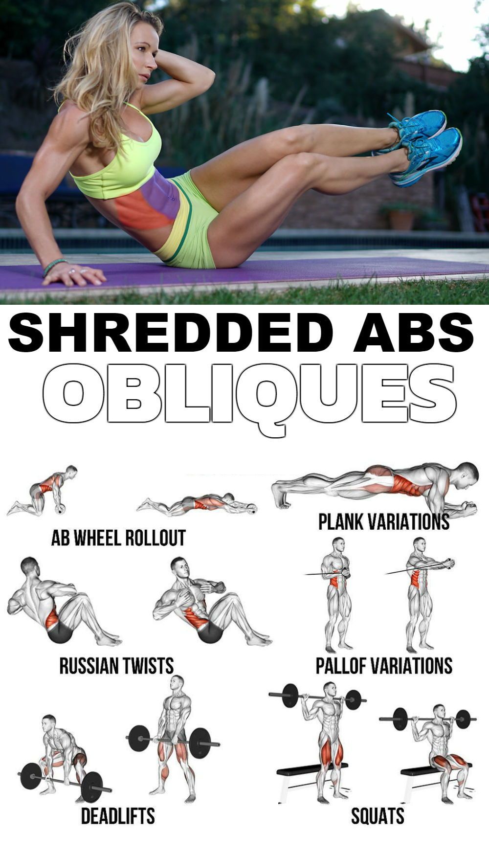 SHREDDED ABS OBLIQUES
