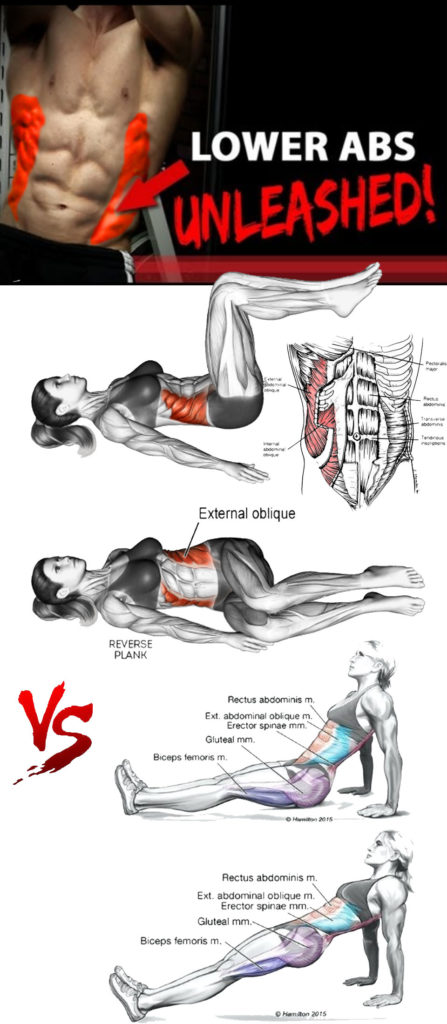 HOW TO V-CUT ABS OBLIQUE