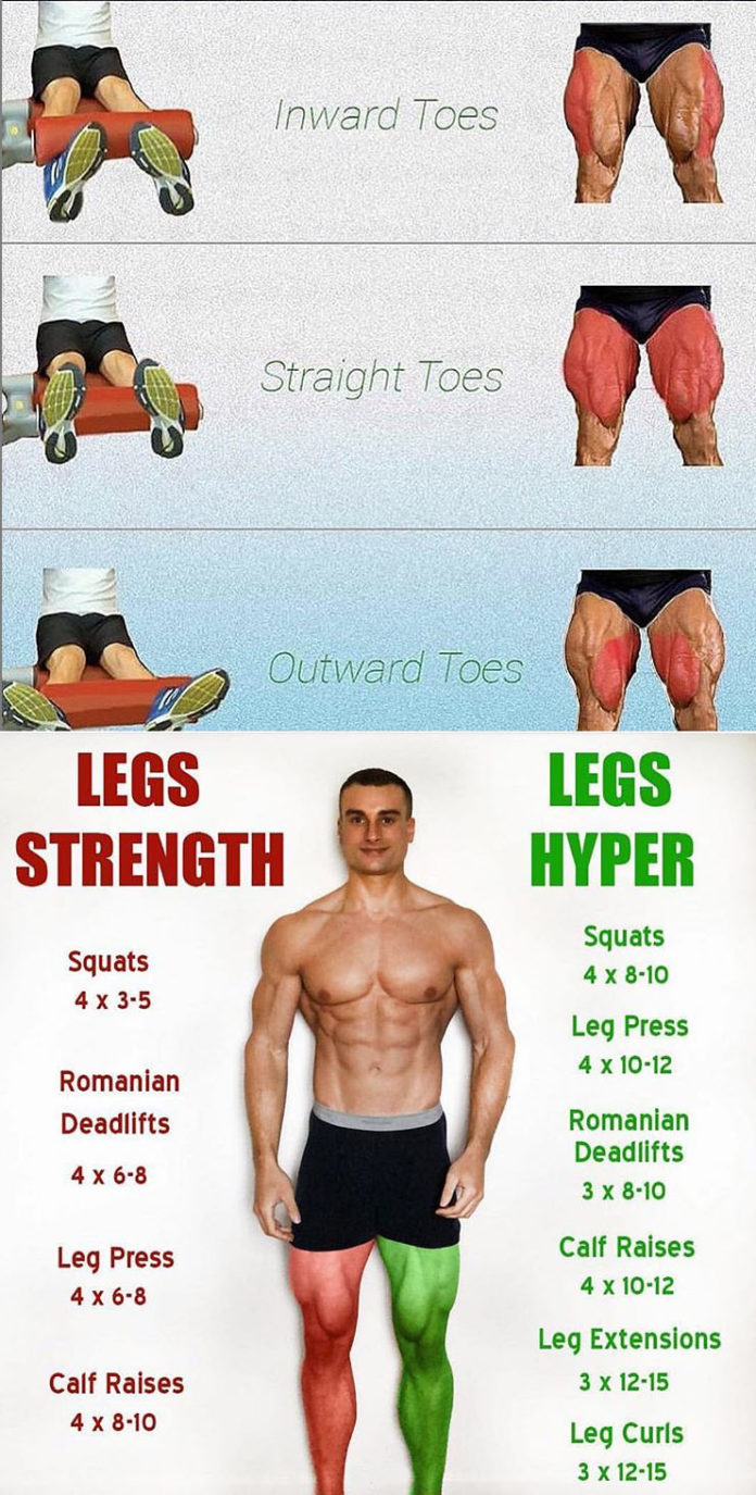 How to Leg Extensions | Guide