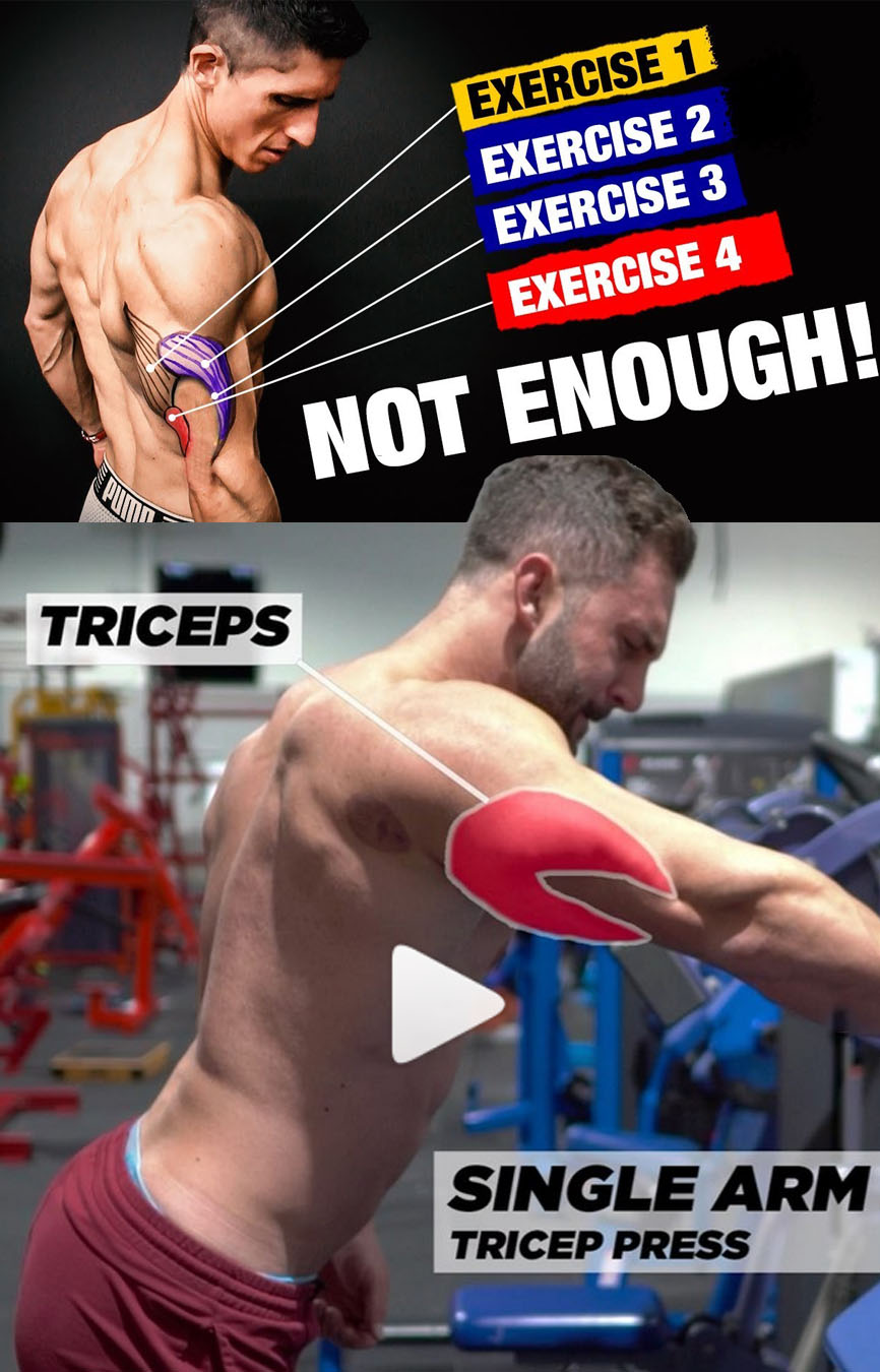 Triceps Training