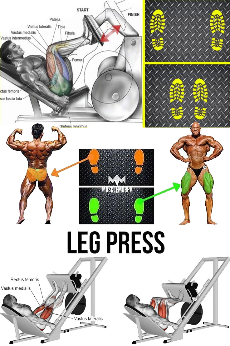 HOW TO LEG PRESS FOOT PLACEMENTS