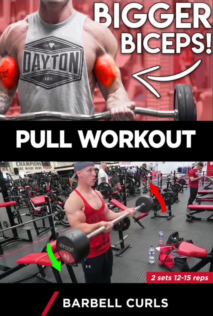 BARBELL CURL