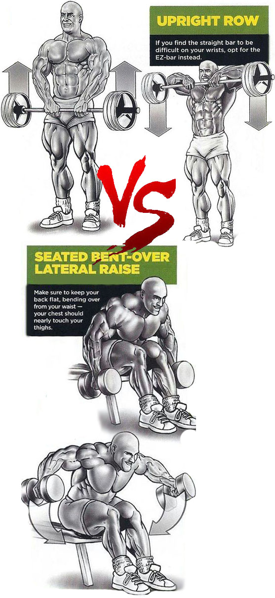 Seated Bent-Over Lateral Raise VS Upright Row
