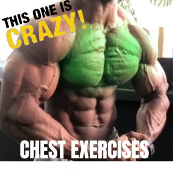 🚨CHEST DAY EXERCISES GUIDE