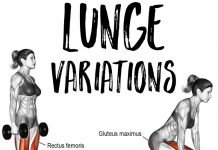 Barbell back lunges – execution technique Lunges exercises