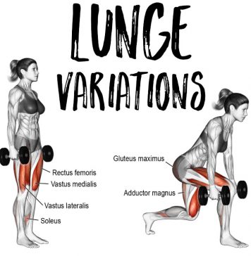 Barbell back lunges – execution technique Lunges exercises