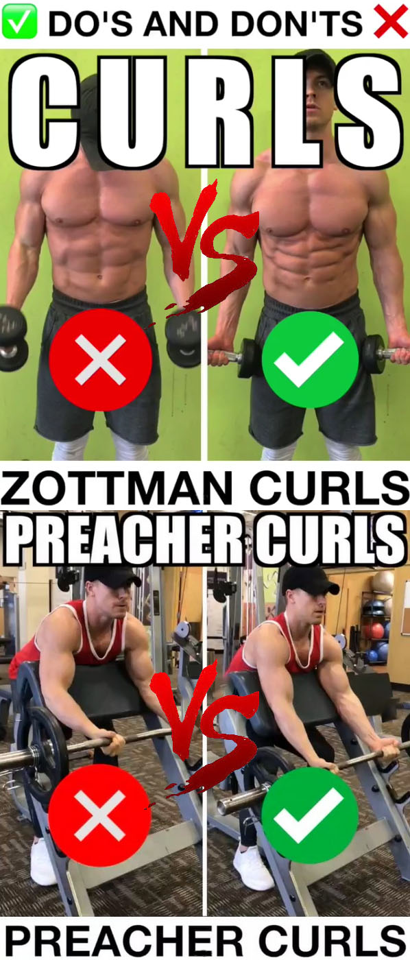 Biceps Zottman Curl VS Biceps Preacher Curl 