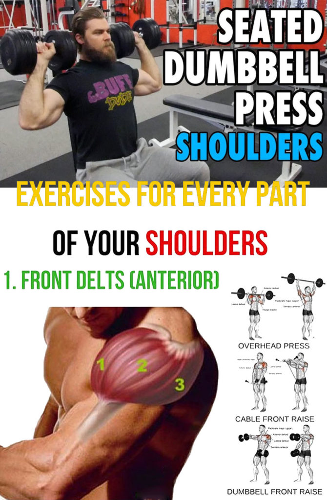 HOW TO BUILD BIGGER SHOULDER & GUIDE