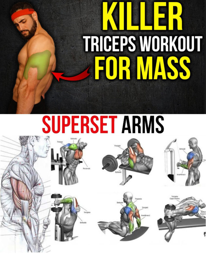 TOP 5 KILLER TRICEPS WORKOUT | Video & Guide