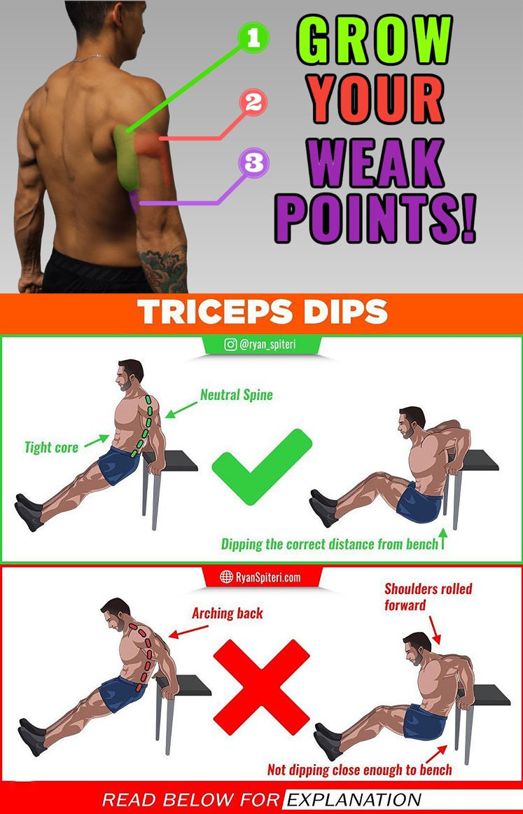TRICEP DIPS (BENCH)