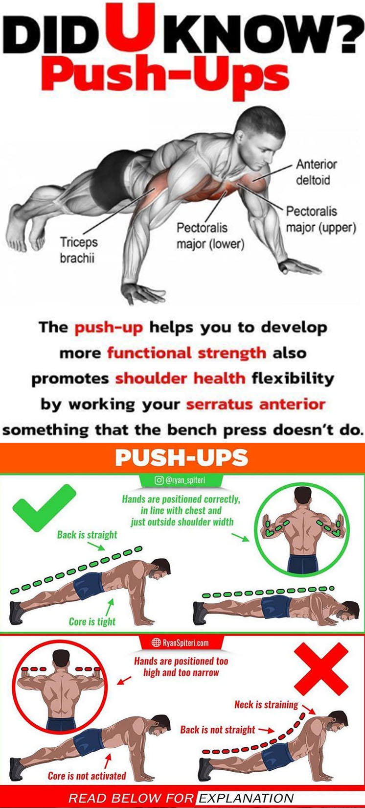 HOW TO PUSH UPS