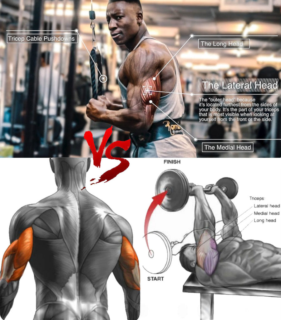 KILLER TRICEPS WORKOUT ON MASS VIDEO & GUIDE