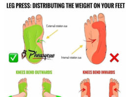 🔥ELBOWS & HIGH BAR SQUATS | GUIDE