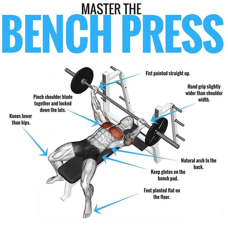 Push Pull Exercises Workout Complex Workouts Triceps Shoulders Chest Progra...