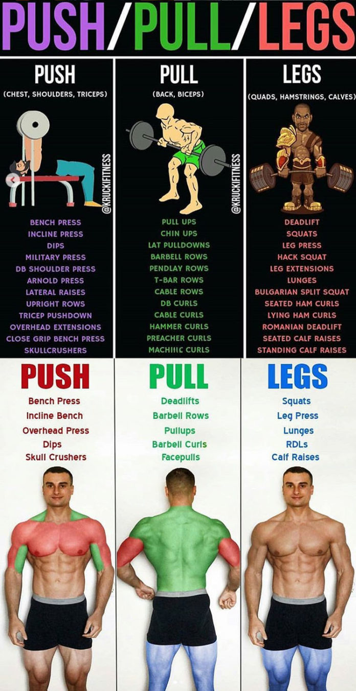 HOW TO BUILD UPPER & LOWER BODY WORKOUT