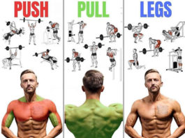🔥HOW TO PUSH & PULL & GUIDE: LEGS EXERCISES