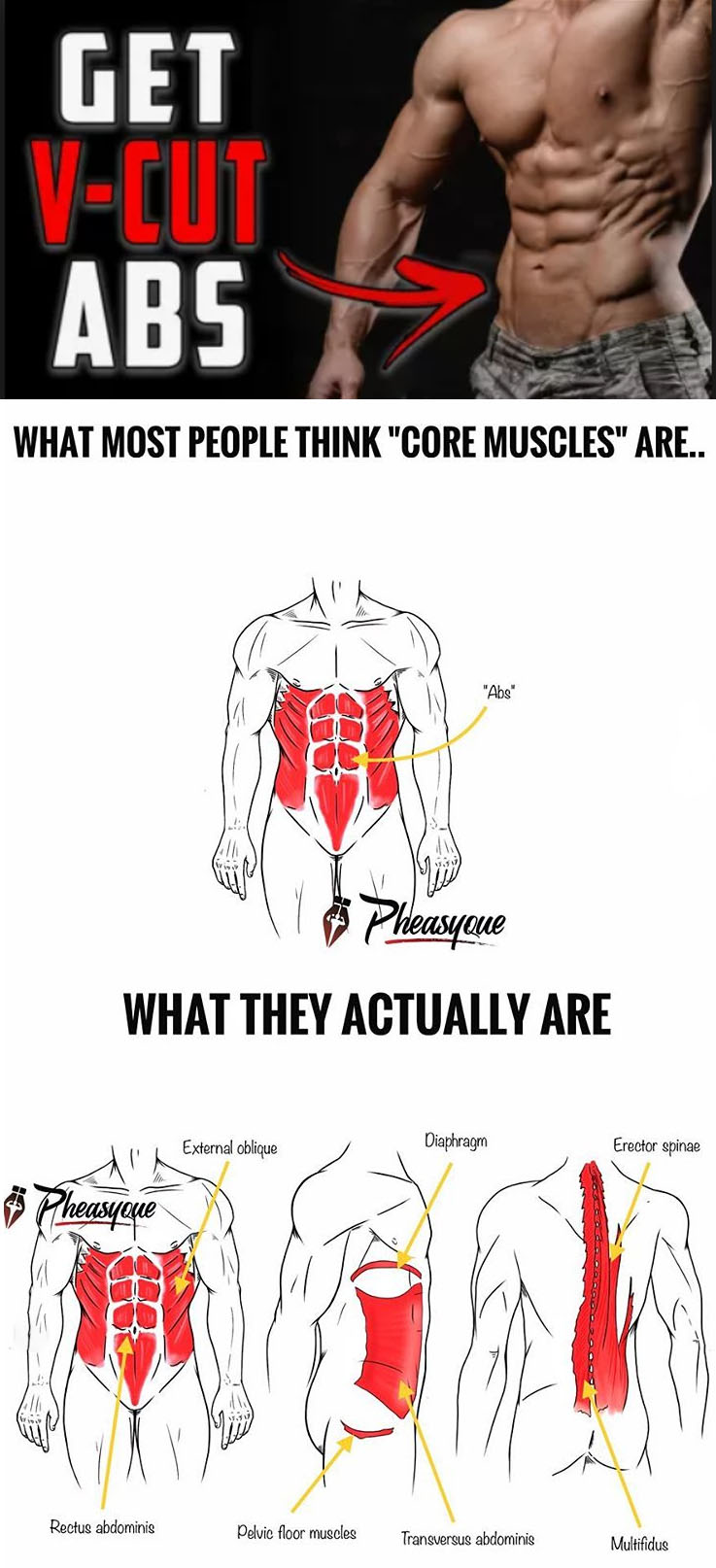 HOW TO CORE MUSCLES 