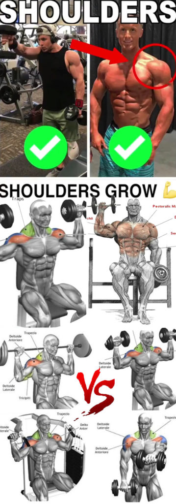 HOW TO DELTS - LIBRARY EXERCISES | GUIDE