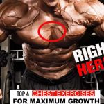 4 Top Chest Exercises