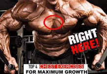 The Best Top 4 Chest Exercises, Technical Perform Tutorial Chest Workout