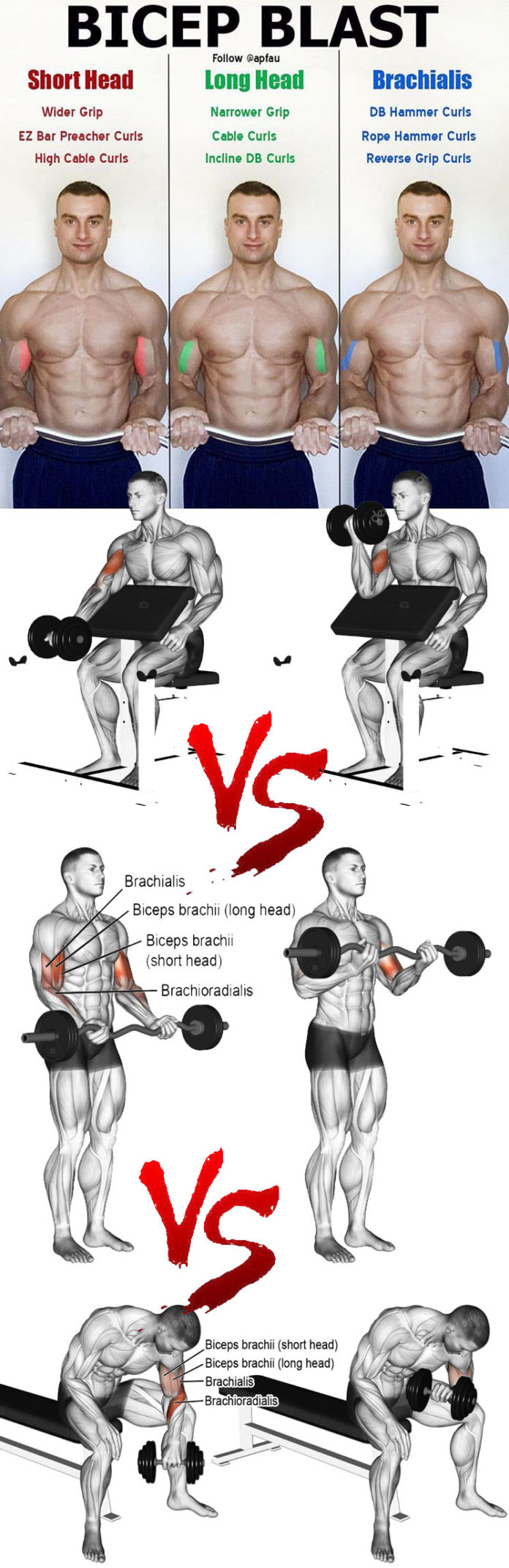 HOW TO BICEPS BLAST GUIDE