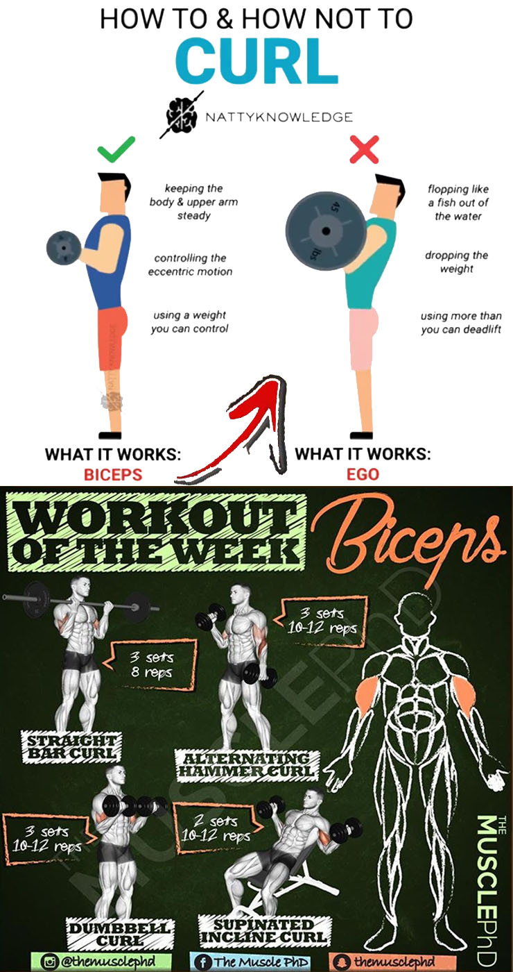Workout of the Week & Biceps 