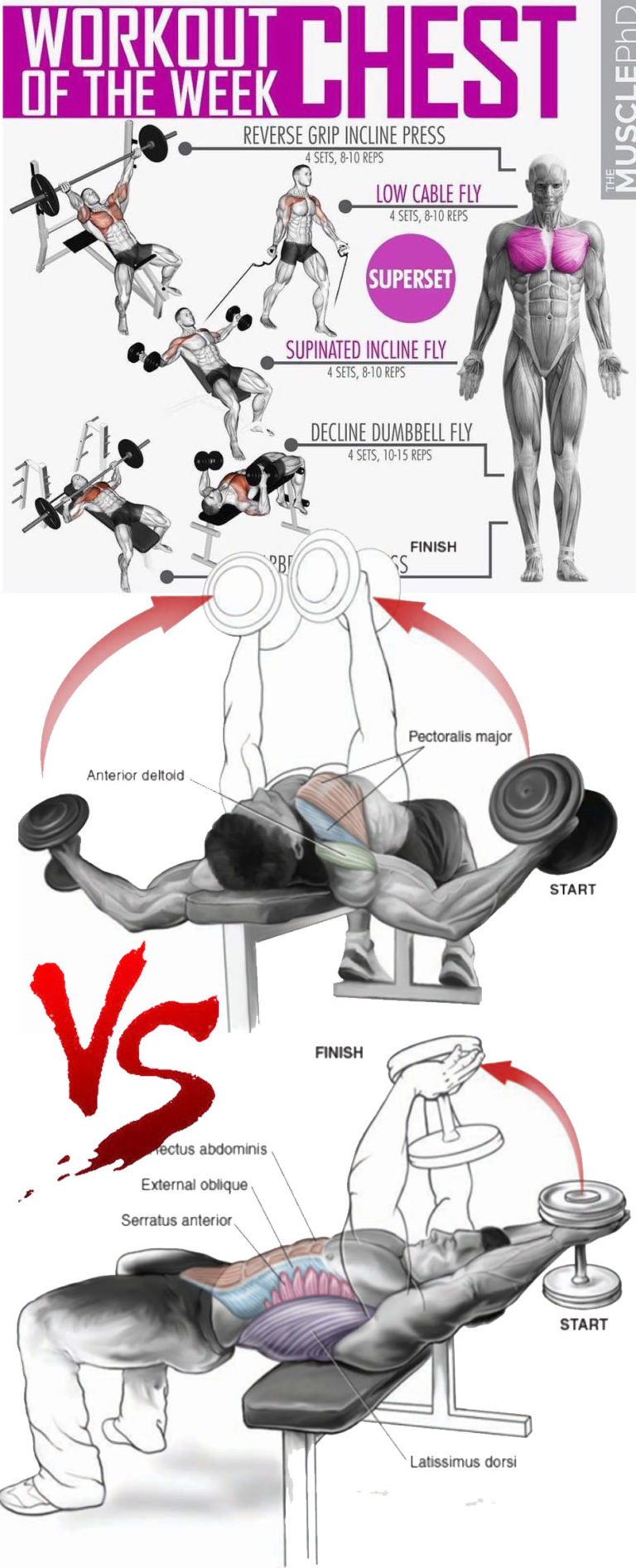 HOW TO CHEST SINGLE REPS WORKOUT GUIDE