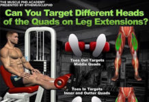🚨TOP Exercises To Build Big Legs👇