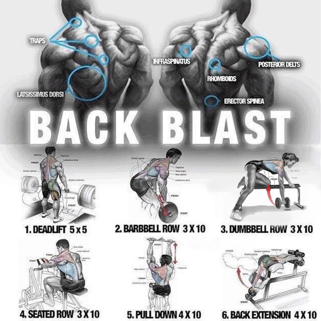 HOT TOP BACK GAINS WORKOUT