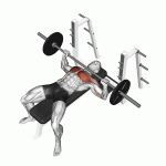 Barbell-Bench-Press-Chest