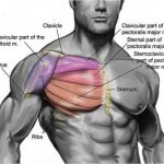 Chest structure