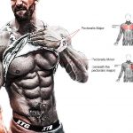 Pectoral muscle structure