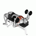 dumbbell-chest-press