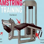 hamstring curl machine